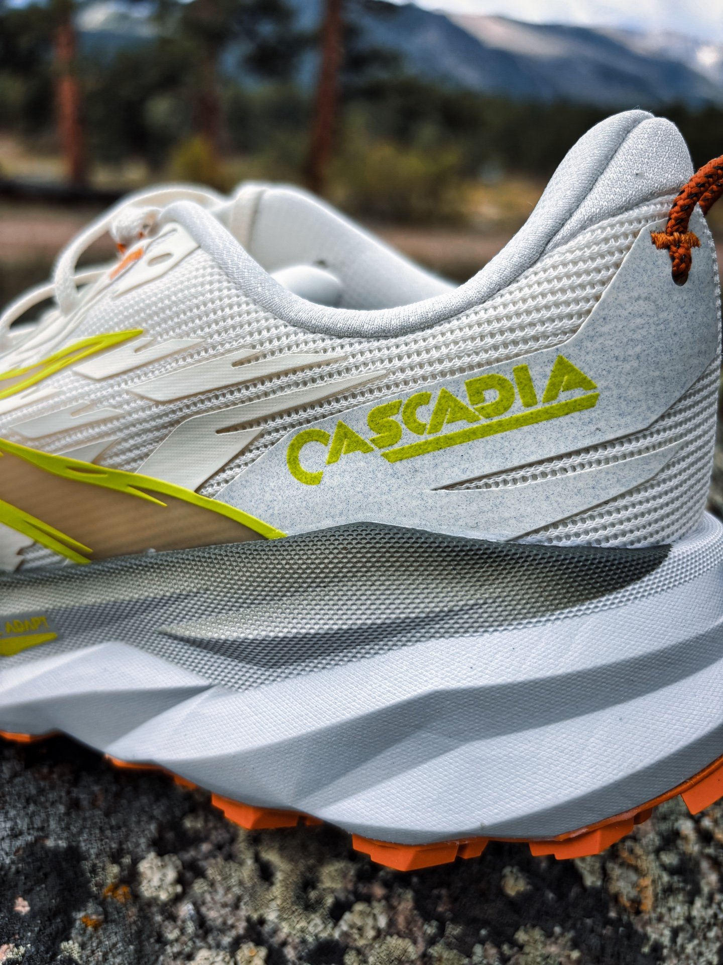 Picture of Brooks Cascadia 19