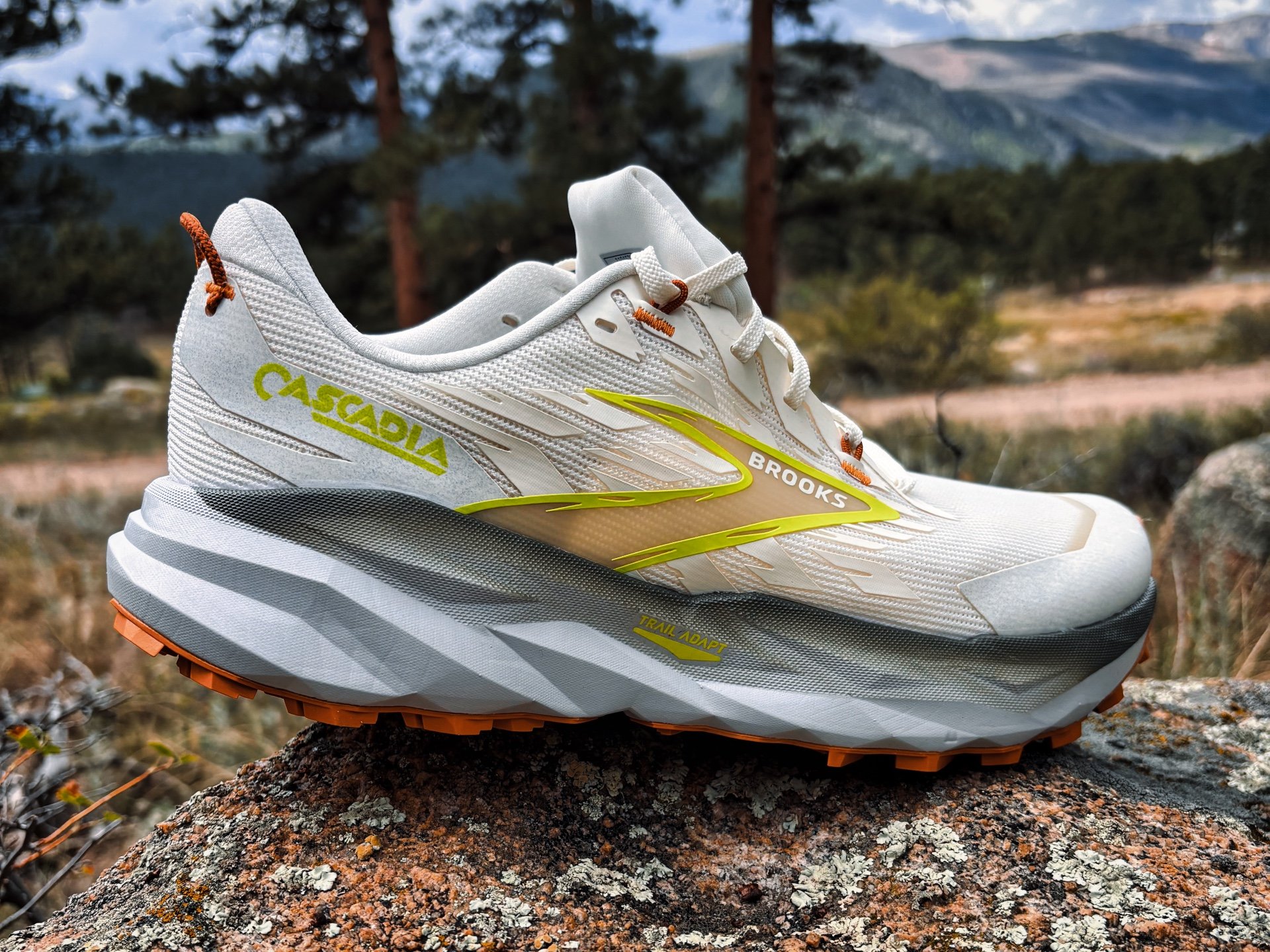 Picture of Brooks Cascadia 19