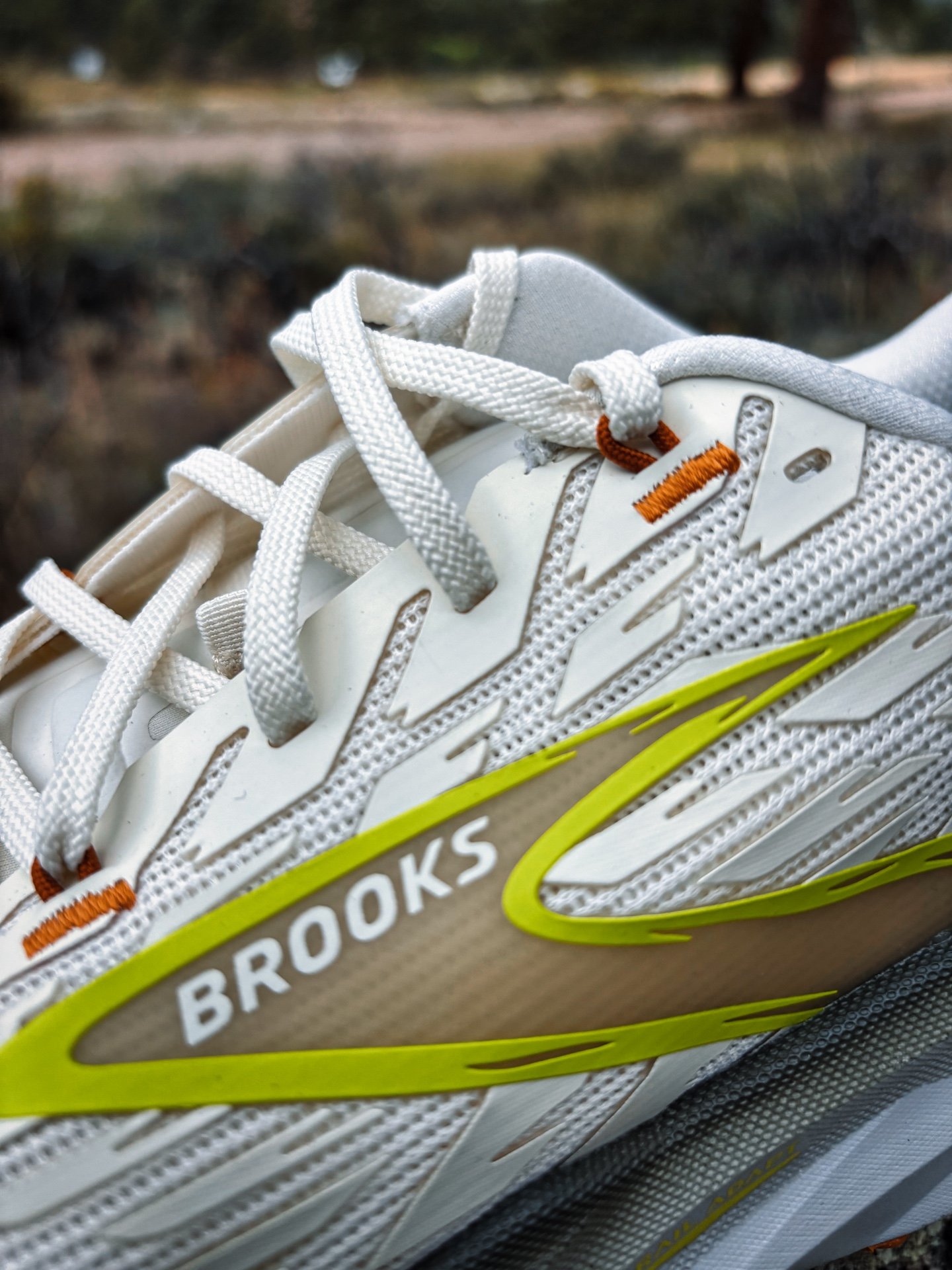 Picture of Brooks Cascadia 19