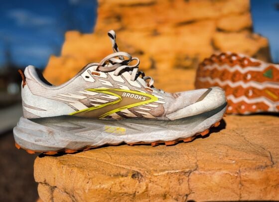 Picture of Brooks Cascadia 19