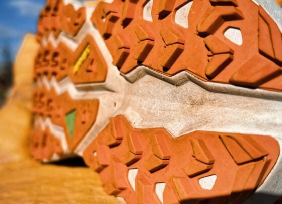 Picture of Brooks Cascadia 19