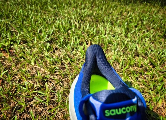 Picture of Saucony Triumph 23