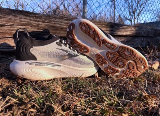 Picture of Brooks Adrenaline GTS 25