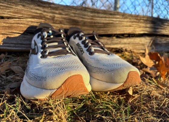 Picture of Brooks Adrenaline GTS 25