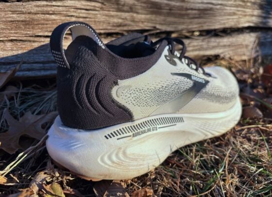 Picture of Brooks Adrenaline GTS 25