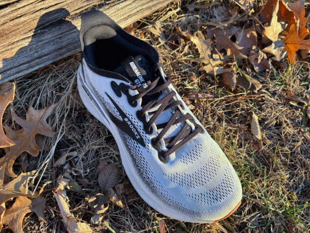 Picture of Brooks Adrenaline GTS 25