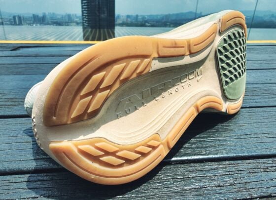 Picture of Nike Pegasus 42