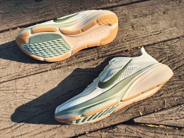 Picture of Nike Pegasus 42