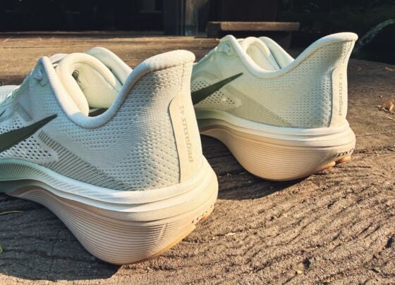 Picture of Nike Pegasus 42