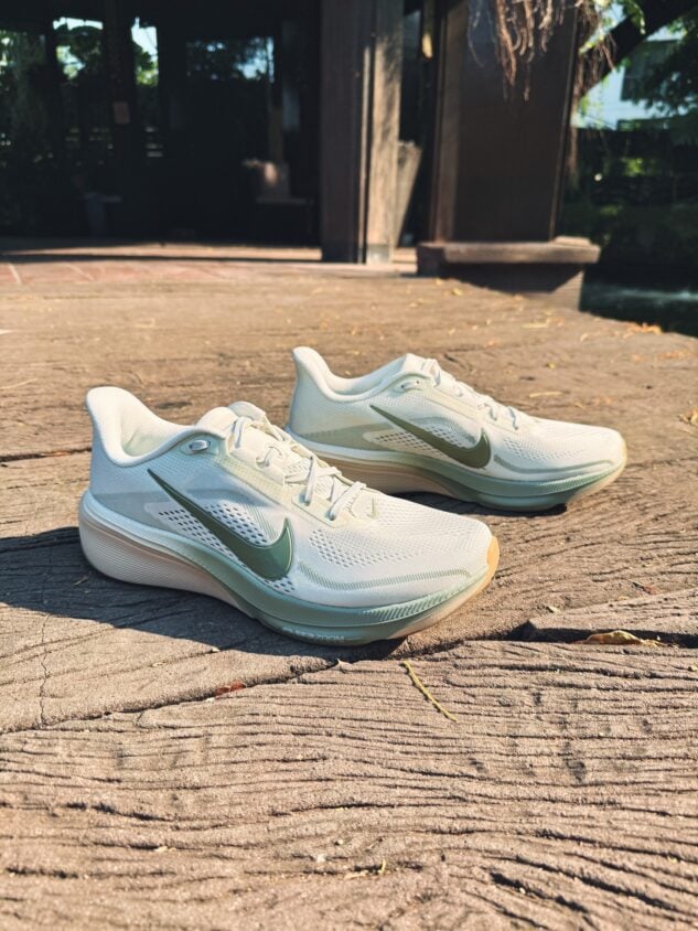Picture of Nike Pegasus 42