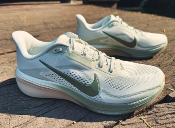 Picture of Nike Pegasus 42