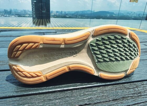 Picture of Nike Pegasus 42