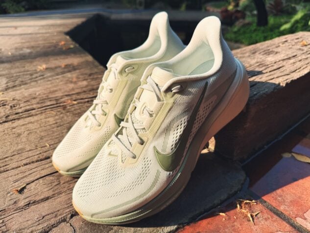 Picture of Nike Pegasus 42