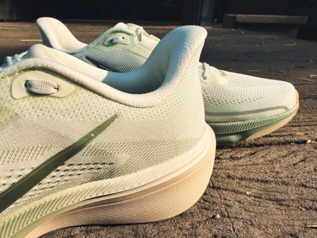 Picture of Nike Pegasus 42