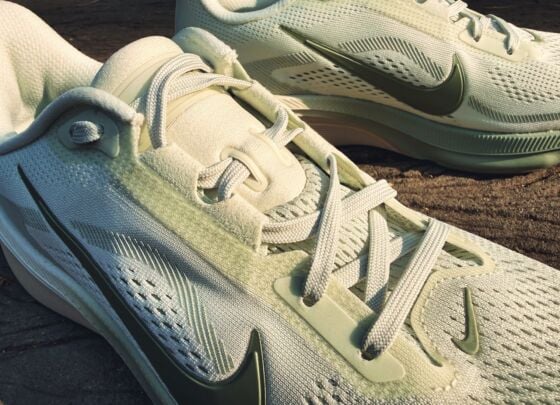 Picture of Nike Pegasus 42