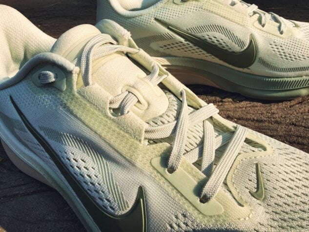 Picture of Nike Pegasus 42