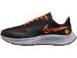 Air Zoom Pegasus 38 Shield